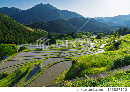 <三重縣>圓山千枚田的新綠 126887120