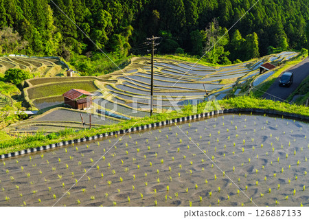 <Mie Prefecture> Fresh greenery of Maruyama Senmaida rice fields 126887133