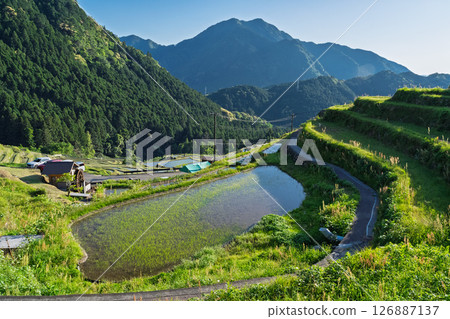 <三重縣>圓山千枚田的新綠 <三重縣>圓山千枚田的新綠 126887137