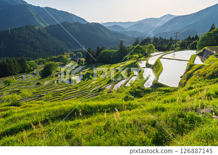 <三重縣>圓山千枚田的新綠 126887145