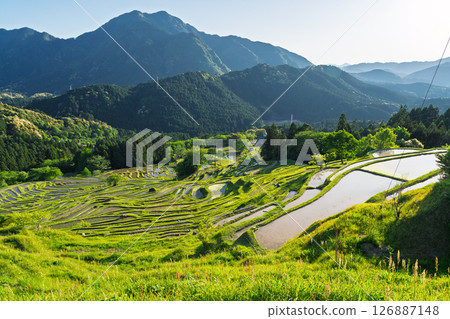 <三重縣>圓山千枚田的新綠 126887148