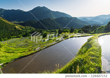 <Mie Prefecture> Fresh greenery of Maruyama Senmaida rice fields 126887152