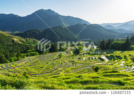 <Mie Prefecture> Fresh greenery of Maruyama Senmaida rice fields 126887155