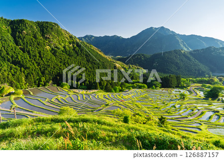 <三重縣>圓山千枚田的新綠 126887157