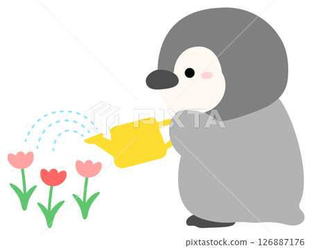 園藝插圖，企鵝澆花 126887176