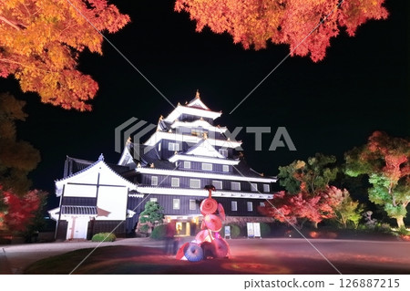 [Okayama Prefecture] Night view of Okayama Castle with autumn leaves and illumination (after major renovation in the Reiwa era) 126887215