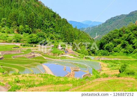 Rice planting at the Ini rice terraces, one of the 100 best rice terraces in Japan Rice planting at the Ini rice terraces, one of the 100 best rice terraces in Japan 126887252