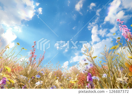 A flower field seen from an insect's perspective 126887372