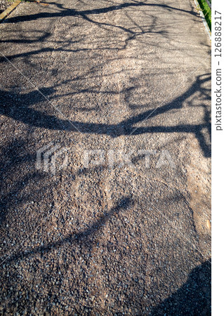 樹影映照的地面 樹影映照的地面 126888217