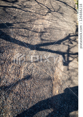 The ground where the shadow of the tree is reflected The ground where the shadow of the tree is reflected 126888218