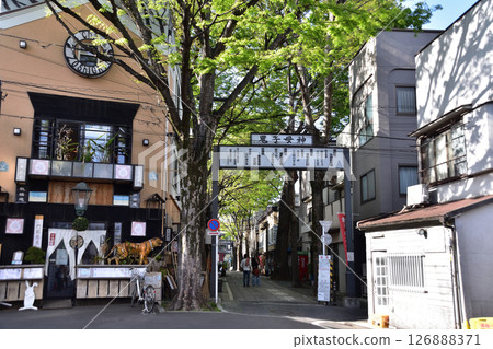 雜司谷鬼子母神表參道正門兩旁的櫸樹 雜司谷鬼子母神表參道正門兩旁的櫸樹 126888371