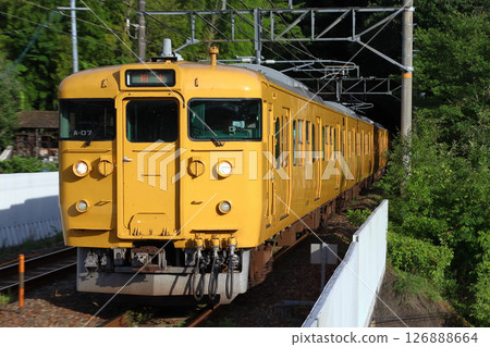 [JR-V] 白備線 115系列車（4節車廂：直達山陽本線） 126888664