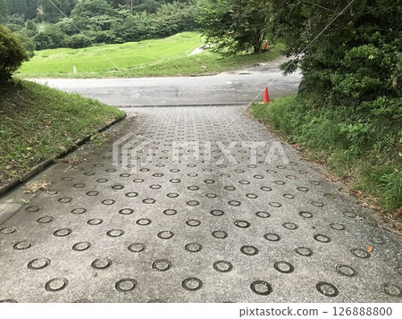 Donut-shaped concrete paving 126888800