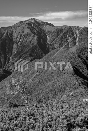 Mt. Kai-Komagatake from Kitazawa Pass in Nagano Prefecture: Mt. Futagi and Mt. Senjogatake Mt. Kai-Komagatake from Kitazawa Pass in Nagano Prefecture: Mt. Futagi and Mt. Senjogatake 126888884