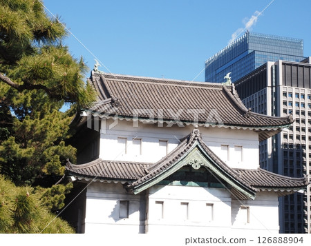 皇宮外苑 126888904