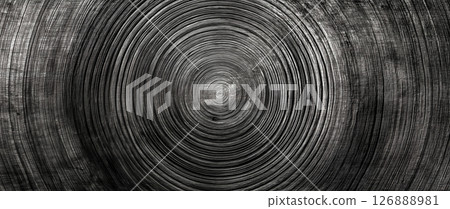 樹上的同心圓宏觀視圖，象徵成長和生命週期 126888981