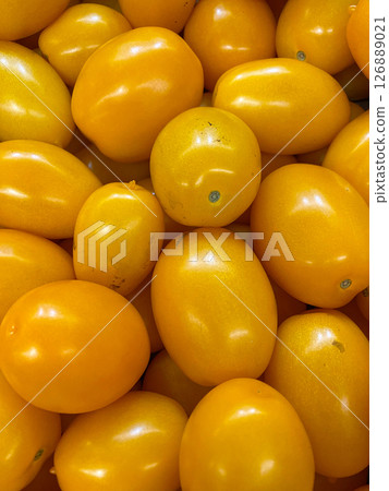 Juicy Yellow Plum Tomatoes. Fresh Market Background Close-Up. 126889021