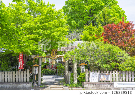 翠花天滿宮周圍綠樹環繞 126889518