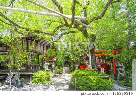 Mizuka Tenmangu Shrine surrounded by fresh greenery 126889519