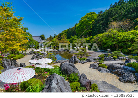 奈良縣葛市當麻寺內淨土庭園 奈良縣葛市當麻寺內淨土庭園 126889525