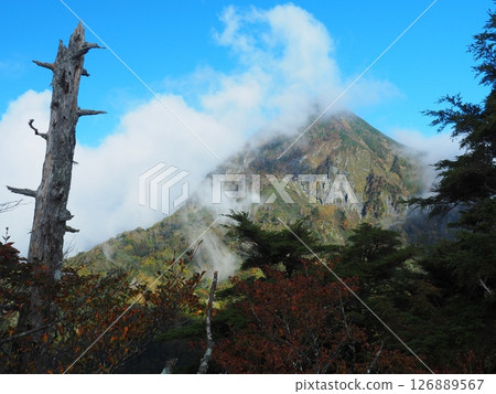 秋季的戶隱山脈和高妻山 126889567