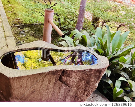 Water basin in temple garden Water basin in temple garden 126889616