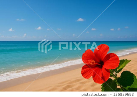 Hibiscus and the tropical sea 126889698