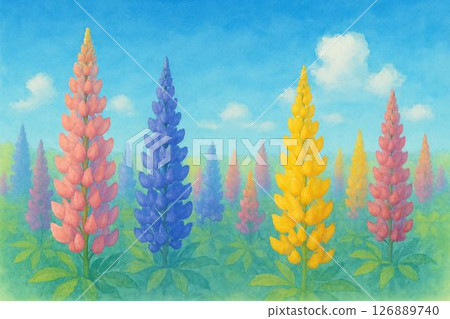 羽扇豆領域 126889740