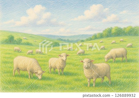 Farm Sheep 126889932