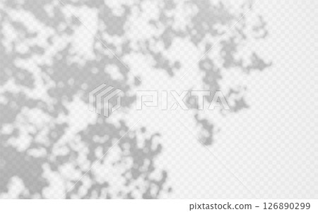 Abstract shadow overlay from foliage on a transparent background. Abstract shadow overlay from foliage on a transparent background. 126890299