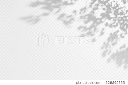 Shadow overlay from a tree branch isolated on a transparent background. 126890333