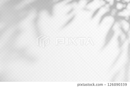 Shadow overlay from a tree branch isolated on a transparent background. Shadow overlay from a tree branch isolated on a transparent background. 126890339