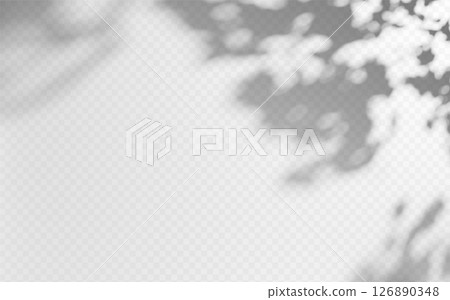 Abstract shadow overlay from tree branch on a transparent background. 126890348
