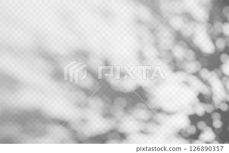 Abstract shadow overlay from foliage on a transparent background. Abstract shadow overlay from foliage on a transparent background. 126890357