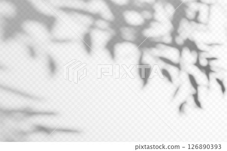 Shadow overlay from a tree branch isolated on a transparent background. 126890393