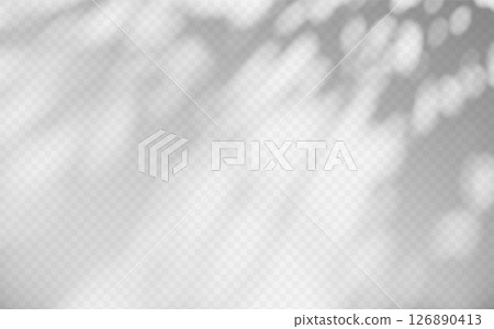 Abstract shadow overlay from tree branch on a transparent background. 126890413