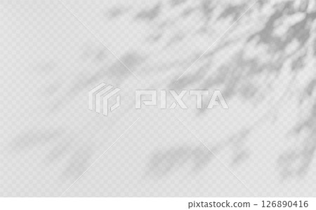 Shadow overlay from a tree branch isolated on a transparent background. 126890416