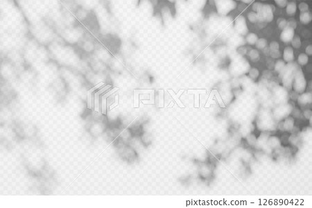Abstract shadow overlay from tree branch on a transparent background. Abstract shadow overlay from tree branch on a transparent background. 126890422