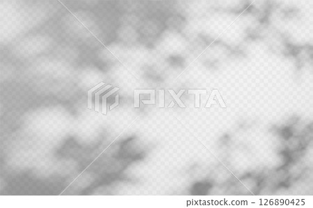 Abstract shadow overlay from tree branch on a transparent background. 126890425