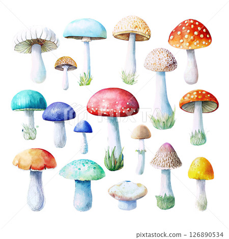 Colorful Watercolor Mushrooms 126890534