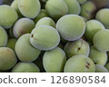 Harvested plum fruit 126890584