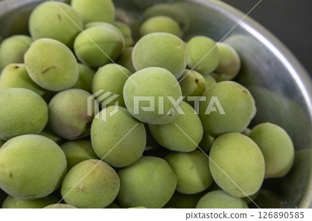 Harvested plum fruit 126890585