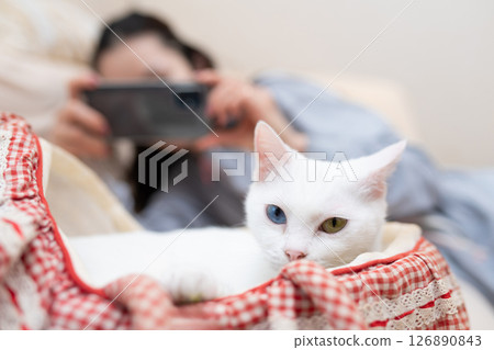 一名女子用智慧型手機為貓咪拍照 126890843