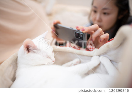 A woman taking a photo of a cat with a smartphone A woman taking a photo of a cat with a smartphone 126890846