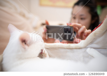 A woman taking a photo of a cat with a smartphone A woman taking a photo of a cat with a smartphone 126890849