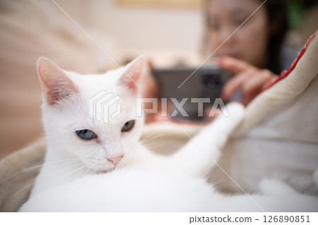 A woman taking a photo of a cat with a smartphone 126890851
