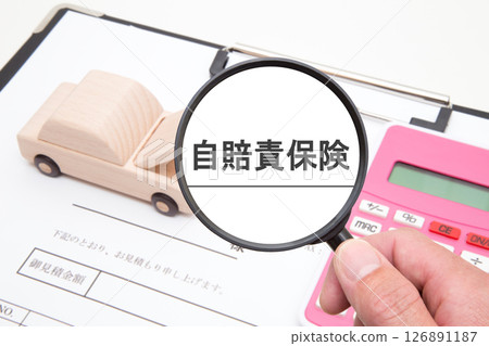 Compulsory automobile liability insurance Automobile insurance 126891187