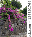 Okinawa's Kuroshima Island 126891764