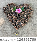 Heart drawn with pine cones 126891769