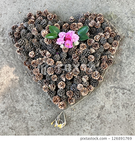 Heart drawn with pine cones 126891769